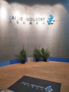 上海彩疊實業(yè)