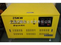yt25reg 油田用25千瓦汽油發(fā)電機(jī) yt25reg 上海伊藤實業(yè)有限責(zé)任公司